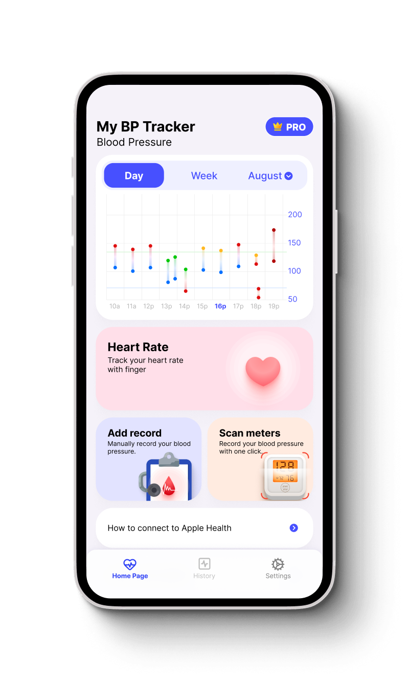 BP Record App Interface